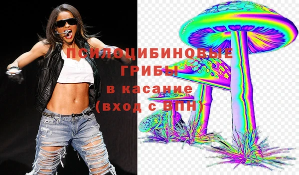 кокс Белокуриха