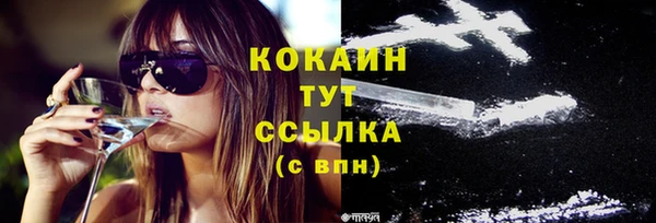 кокс Белокуриха
