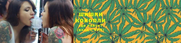 кокс Белокуриха
