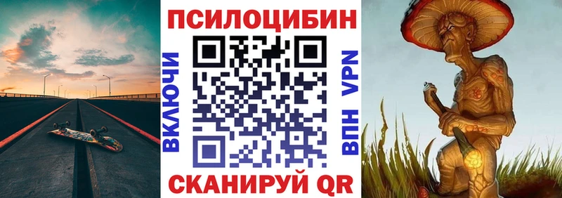 Псилоцибиновые грибы Psilocybe  Неман 